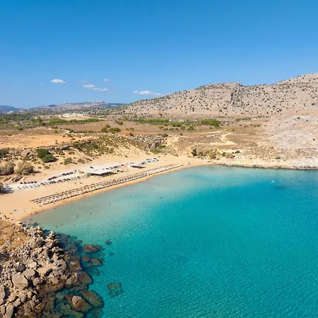 12 Chado קולימביה