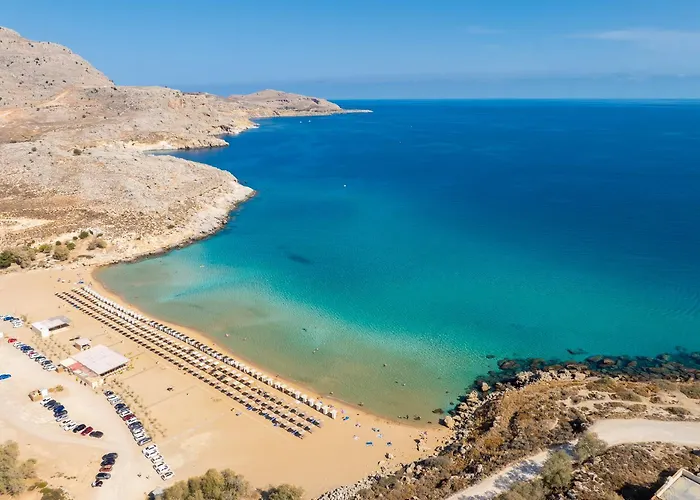 12 Chado كولومبيا